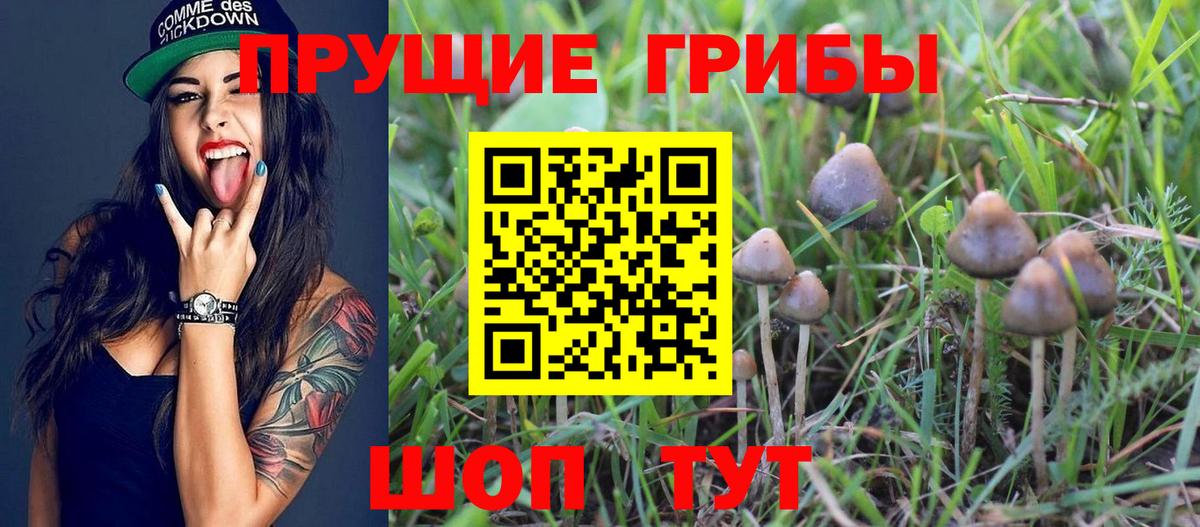 Урай  Псилоцибиновые грибы прущие грибы  Псилоцибиновые грибы Magic Shrooms  Вход с VPN 